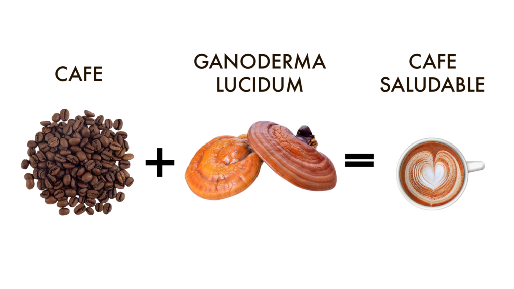 Ganoderma Lucidum Home Plus Love